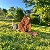 sierrahein57